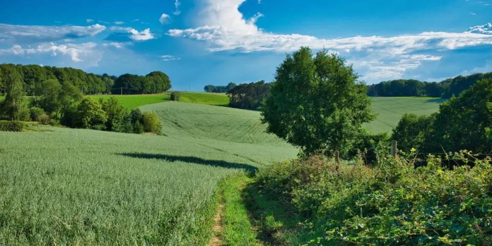 Domki nad Bałtykiem na każdą porę roku: top miejsca, co zabrać i jak wybrać nocleg przy plaży, by zimą było ciepło, a latem bez tłumów.